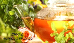 Tisane